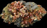 Red Vanadinite Crystals on Manganese Oxide - Morocco #38519-1